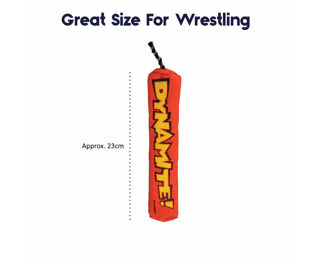 Petstages Green Magic Dynamite Kickaroo Catnip Toy