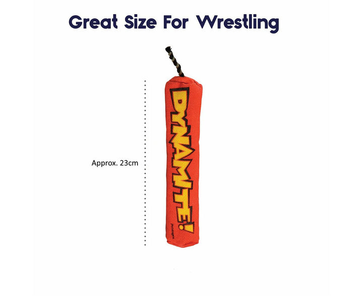 Petstages Green Magic Dynamite Kickaroo Catnip Toy