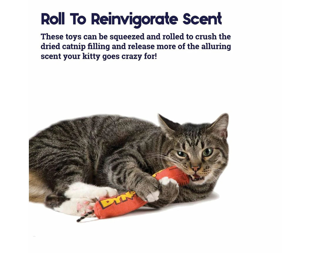 Petstages Green Magic Dynamite Kickaroo Catnip Toy