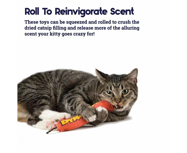 Petstages Green Magic Dynamite Kickaroo Catnip Toy