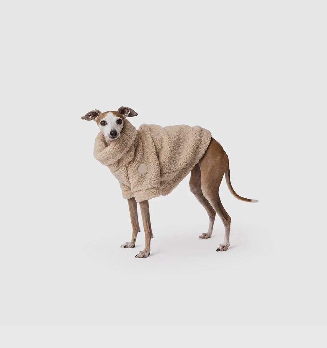 Mister Woof - Fawn Teddy Jumper