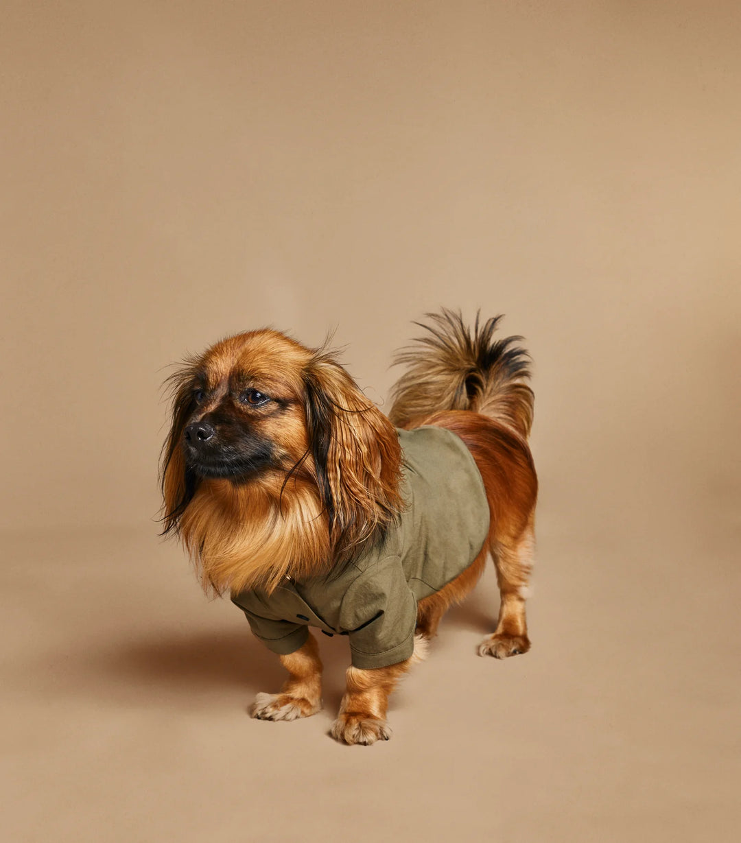 THEANIMALS. Logo Light Dog Coat. Khaki