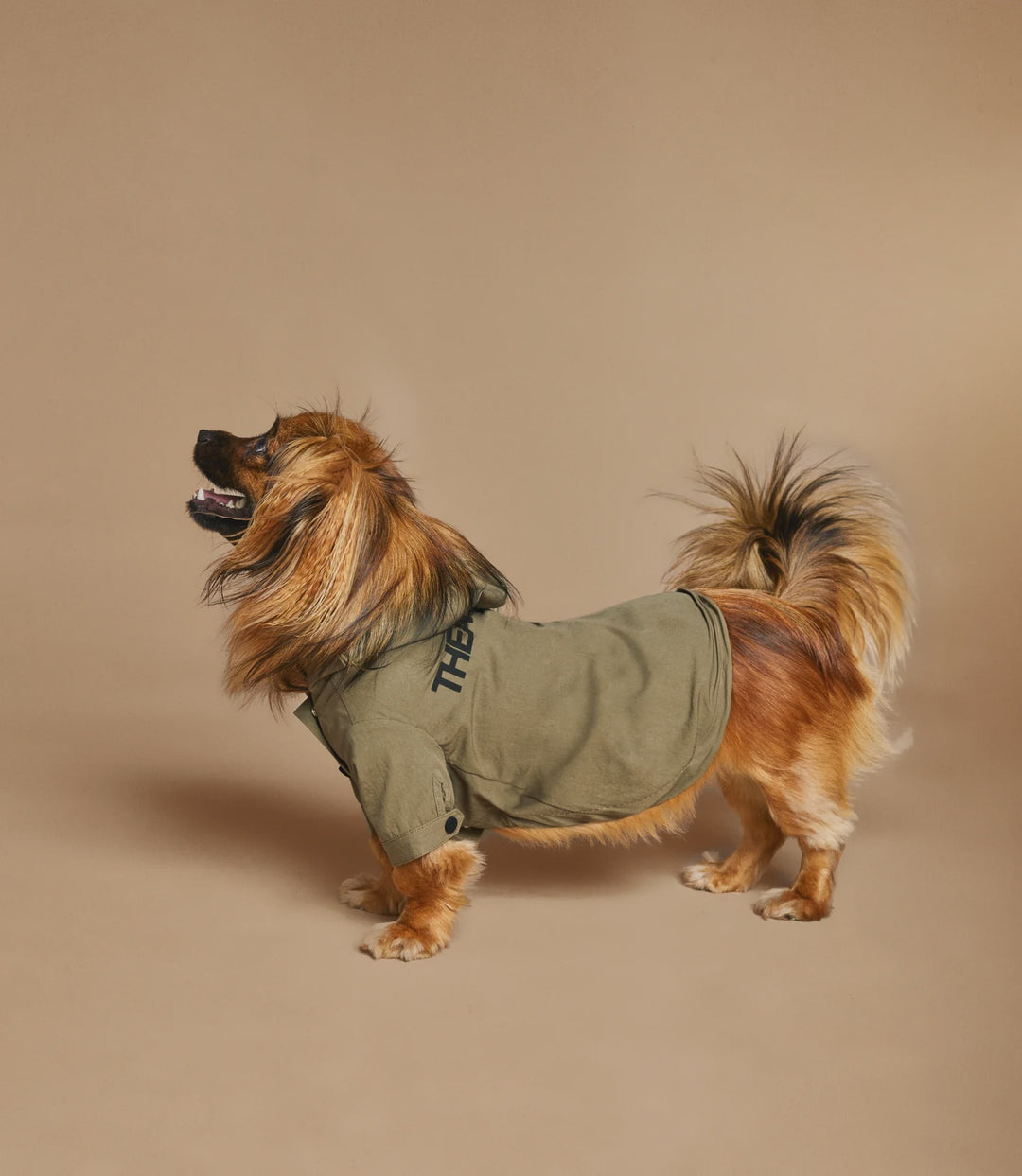 THEANIMALS. Logo Light Dog Coat. Khaki