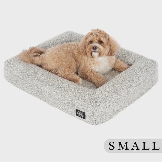 Big & Little - LUXE MEMORY FOAM DOG BED: Salt & Pepper Boucle