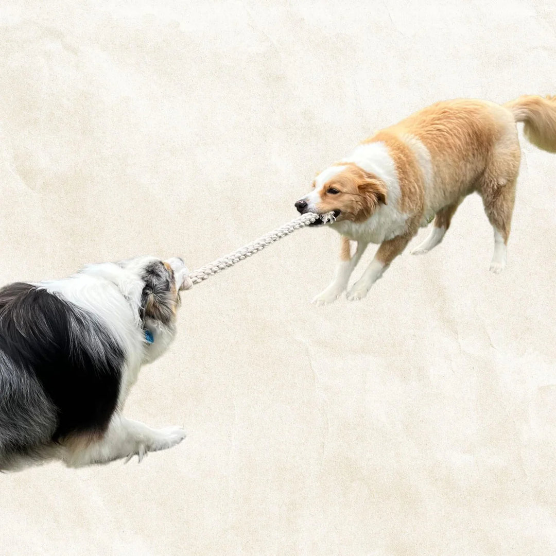 Mega Rope