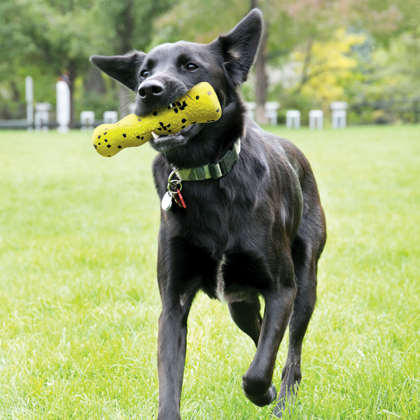 Kong Reflex Bite Defying Floating Dog Toy - Stick Medium