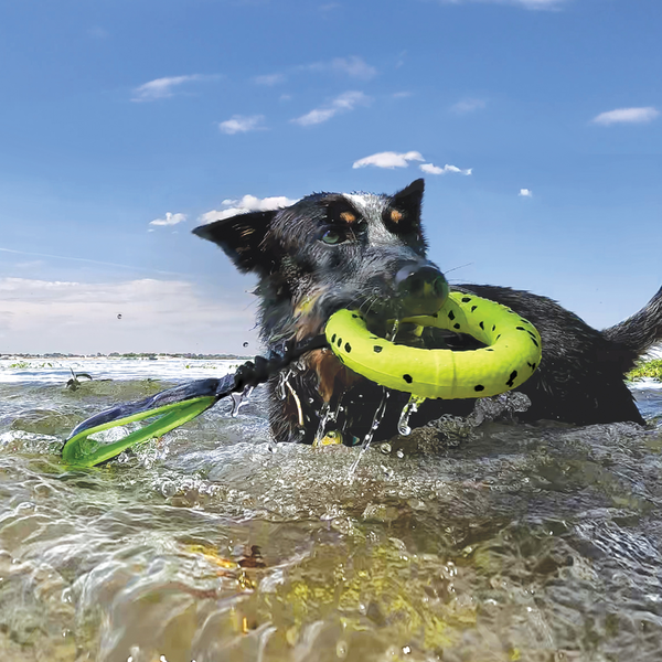 KONG Reflex Bite Defying Floating Dog Toy - Reflex Tug