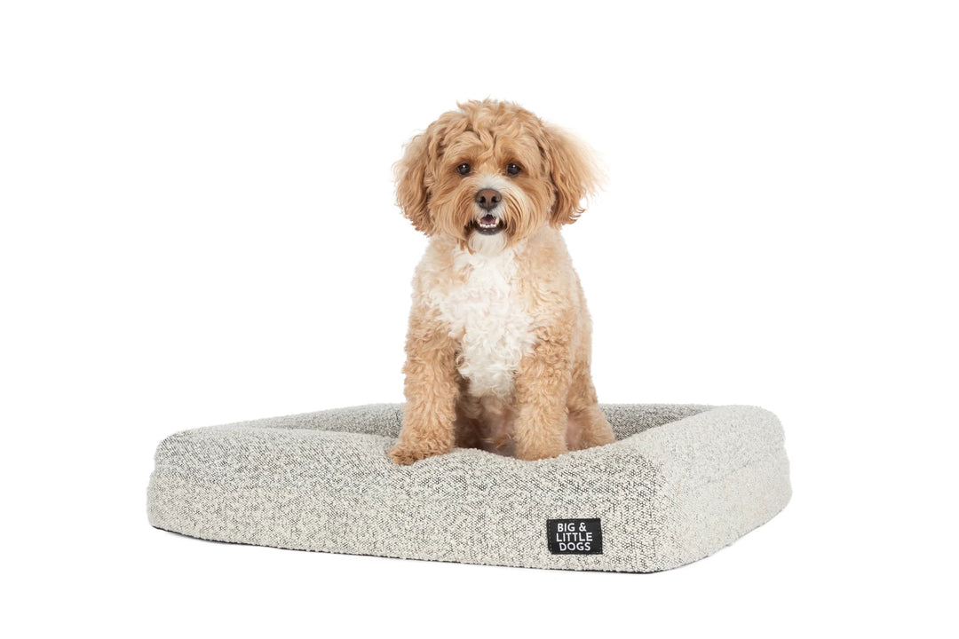 Big & Little - LUXE MEMORY FOAM DOG BED: Salt & Pepper Boucle