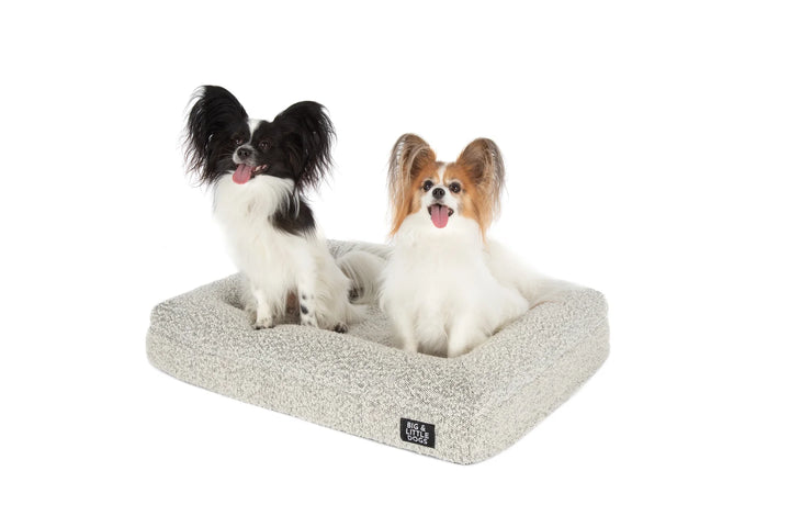 Big & Little - LUXE MEMORY FOAM DOG BED: Salt & Pepper Boucle