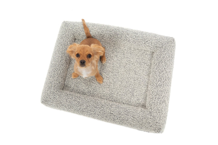 Big & Little - LUXE MEMORY FOAM DOG BED: Salt & Pepper Boucle