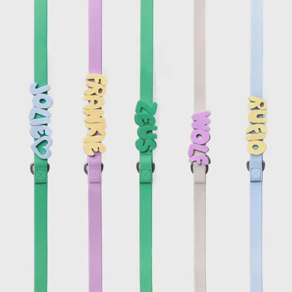 Springland Personalised Waterproof Dog Leash