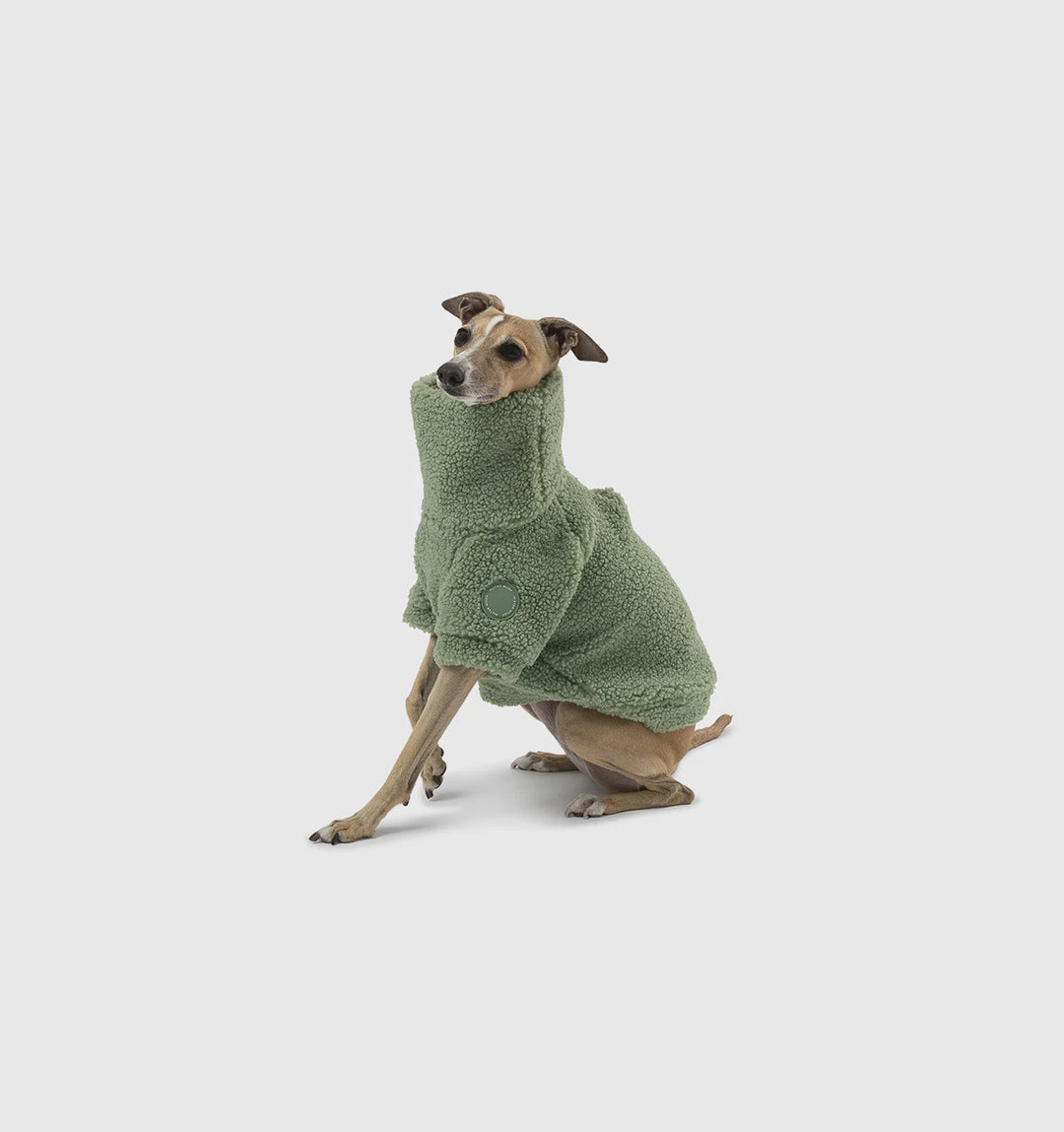 Mister Woof - Matcha Teddy Jumper