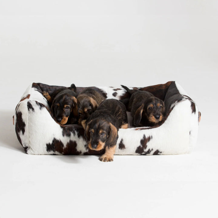 2.8. Henri  - Cowhide Dog Bed. Medium