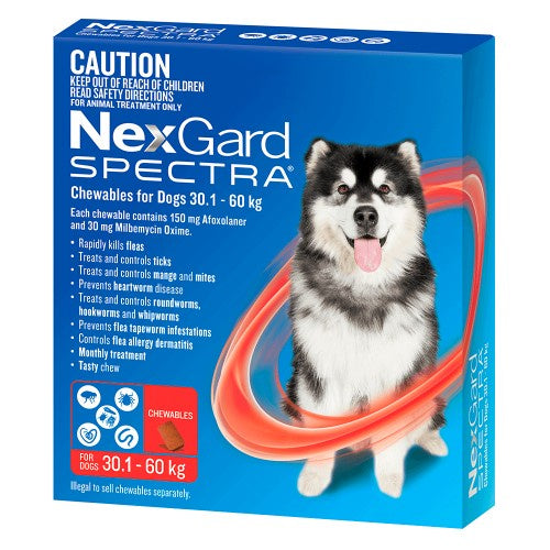 Nexgard Spectra 30.1-60KG