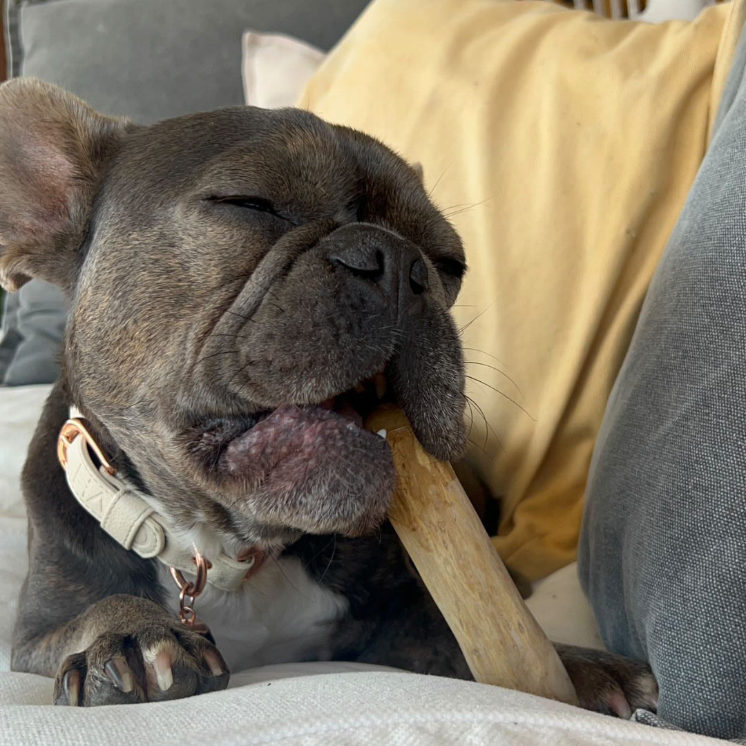 Conscious Pet. Coffee Wood Toy
